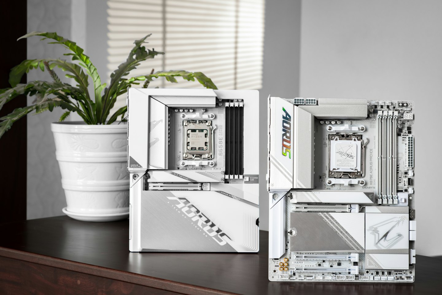 Due schede madri bianche per PC esposte verticalmente su legno.